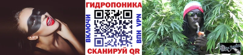 Бошки Шишки конопля  где купить   Димитровград 